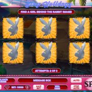 sexy_holidays_bonus-game-1